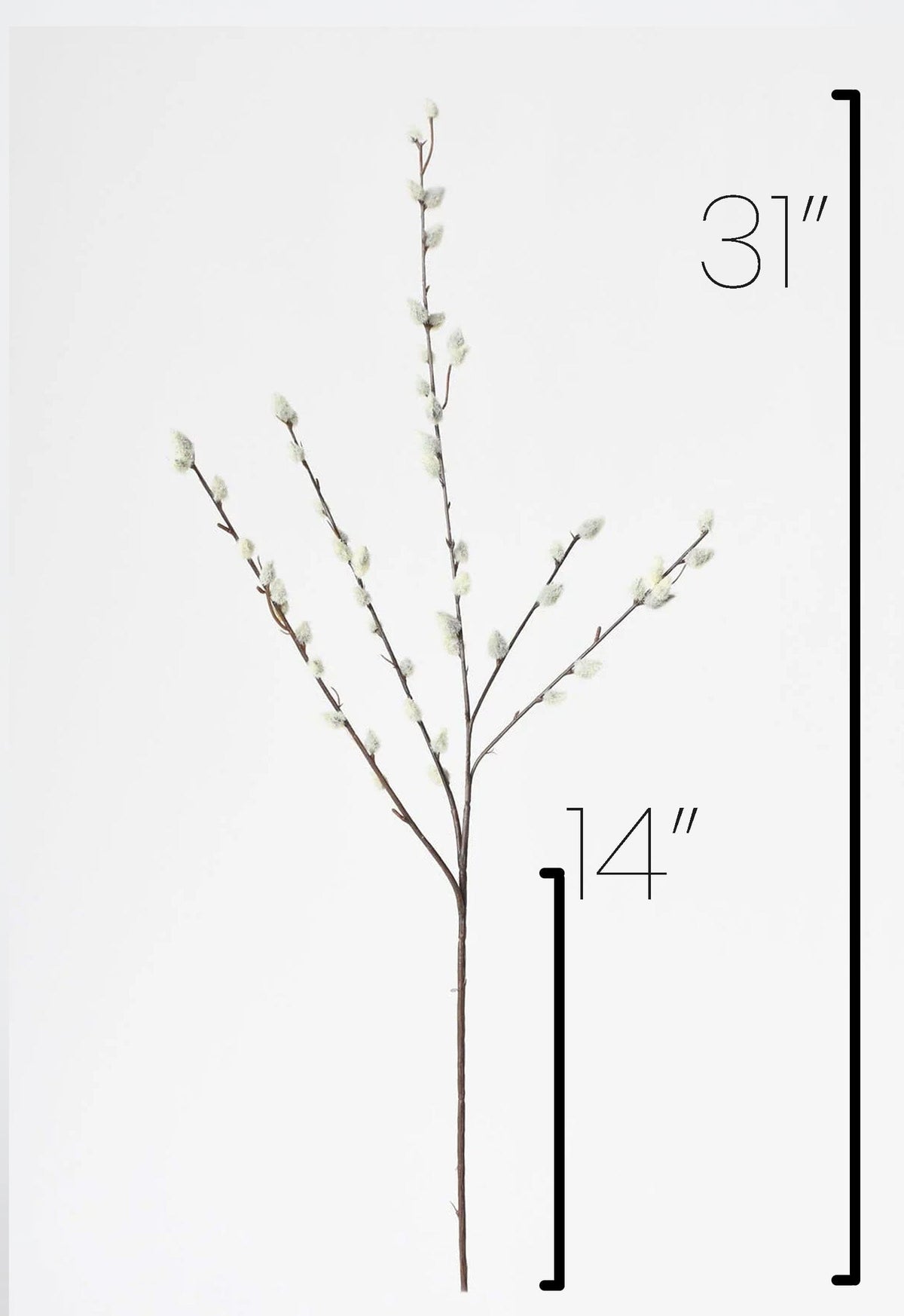 Faux Pussy Willow Stem, 31"