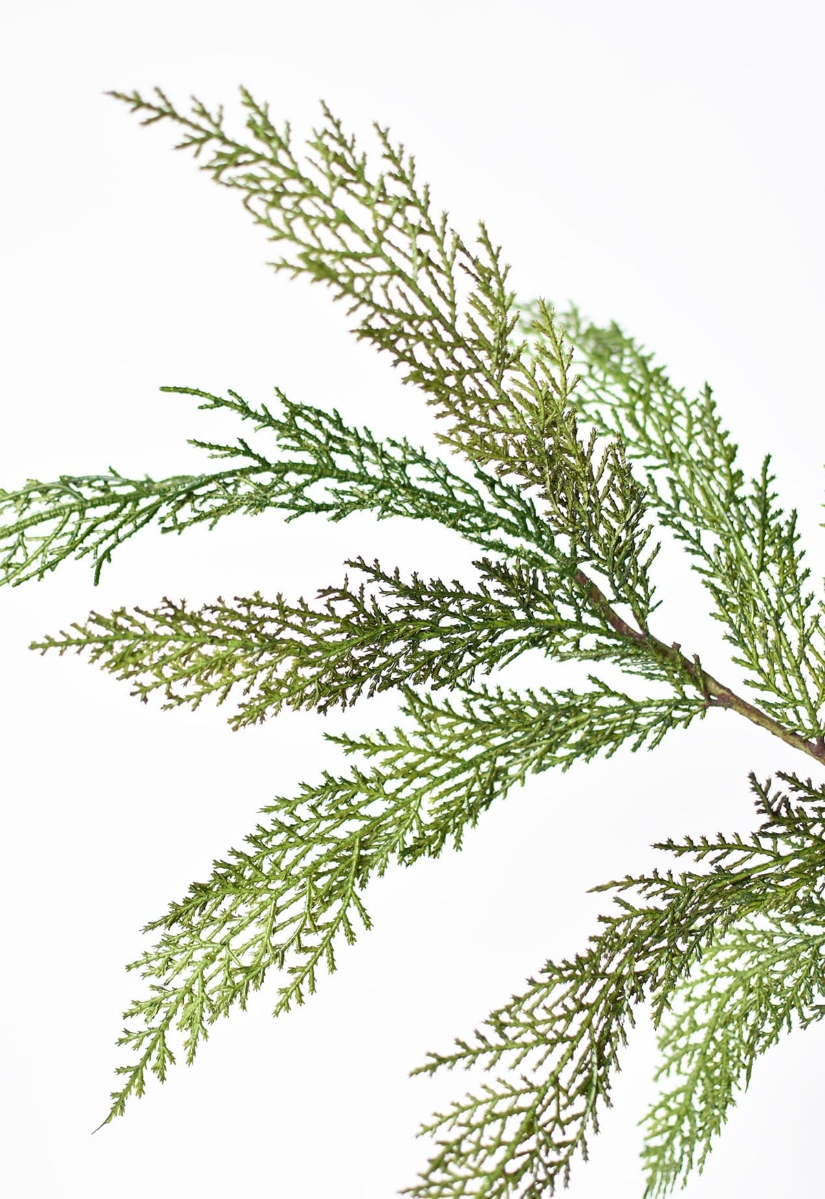 Realistic Faux Cedar Stem, 30" - Holiday Evergreen
