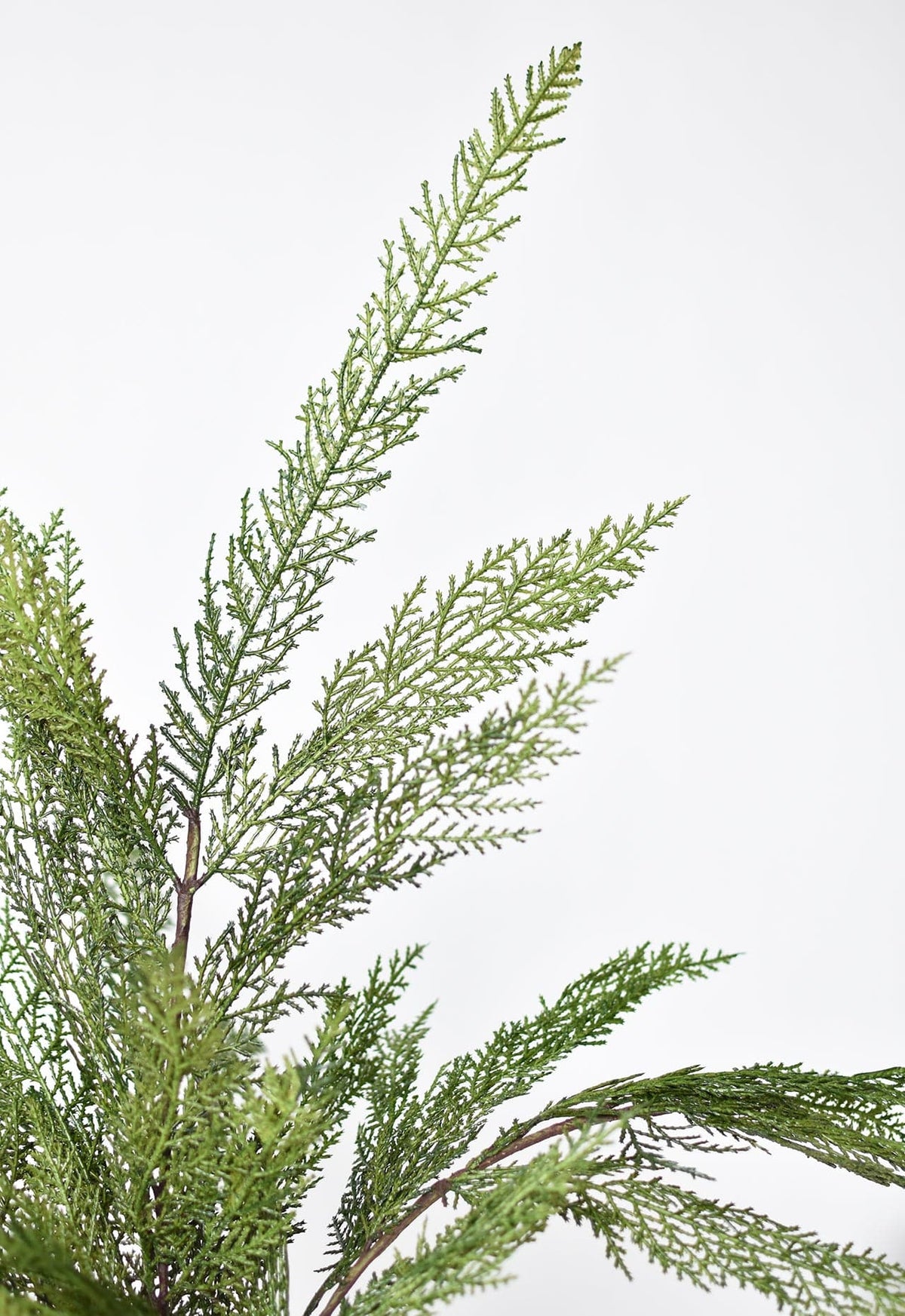 Realistic Faux Cedar Stem, 30" - Holiday Evergreen