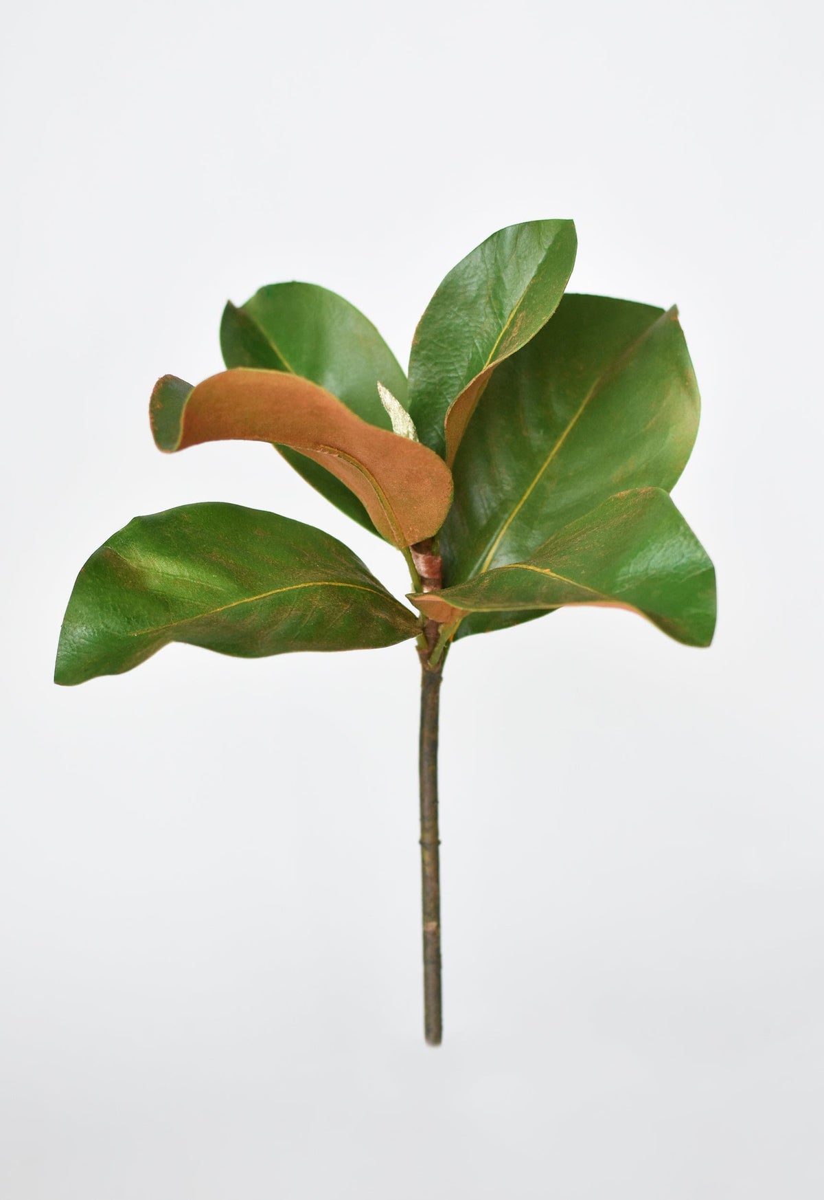 Faux Magnolia Leaf Stem, 14"