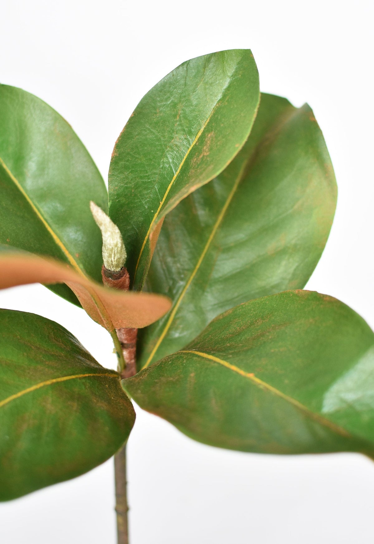 Faux Magnolia Leaf Stem, 14"