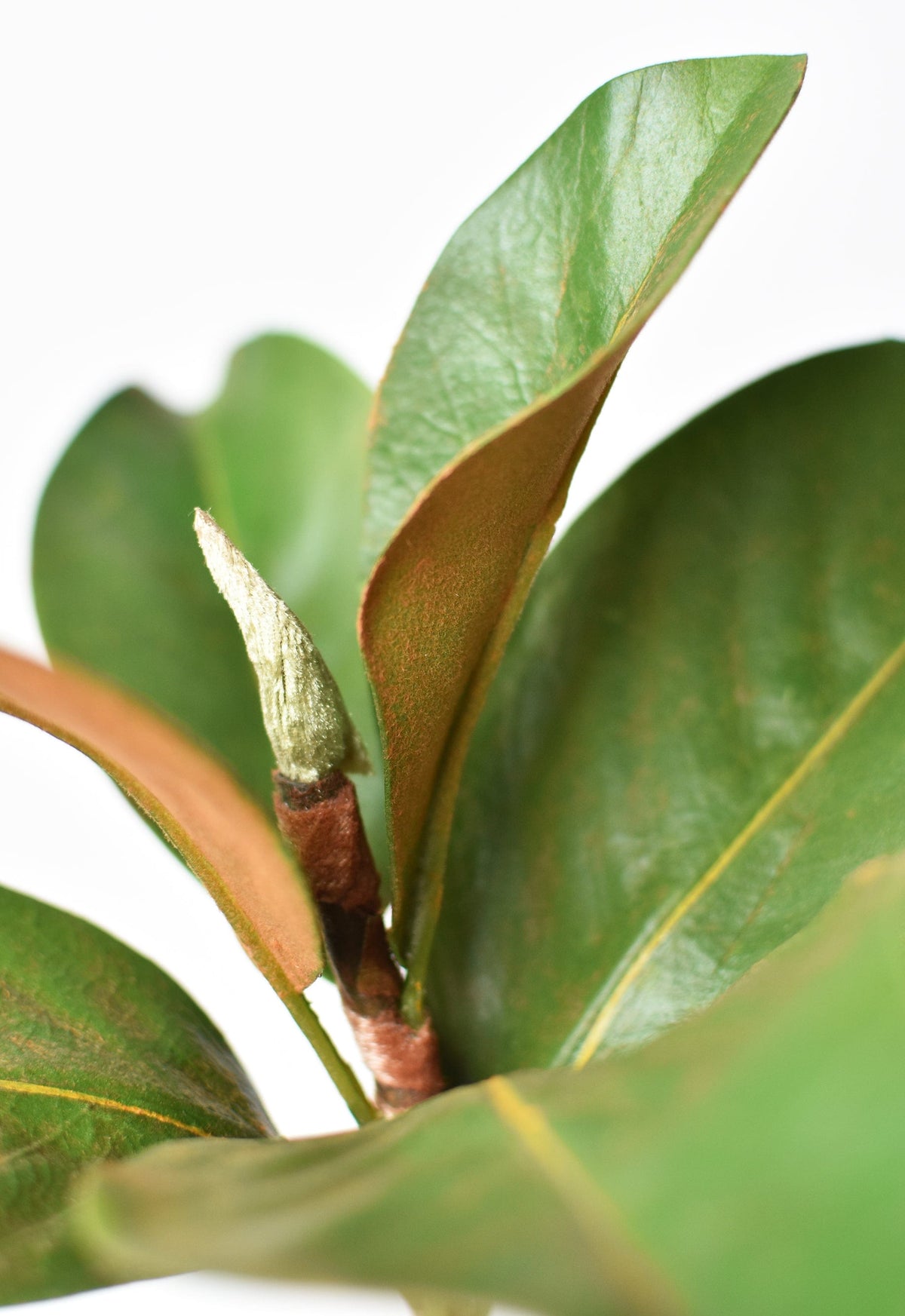 Faux Magnolia Leaf Stem, 14"