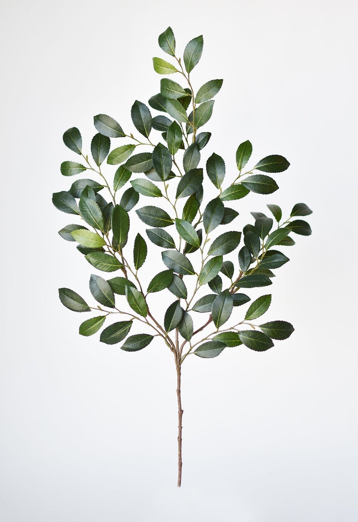 Faux Ruscus Leaf Stem, 26"
