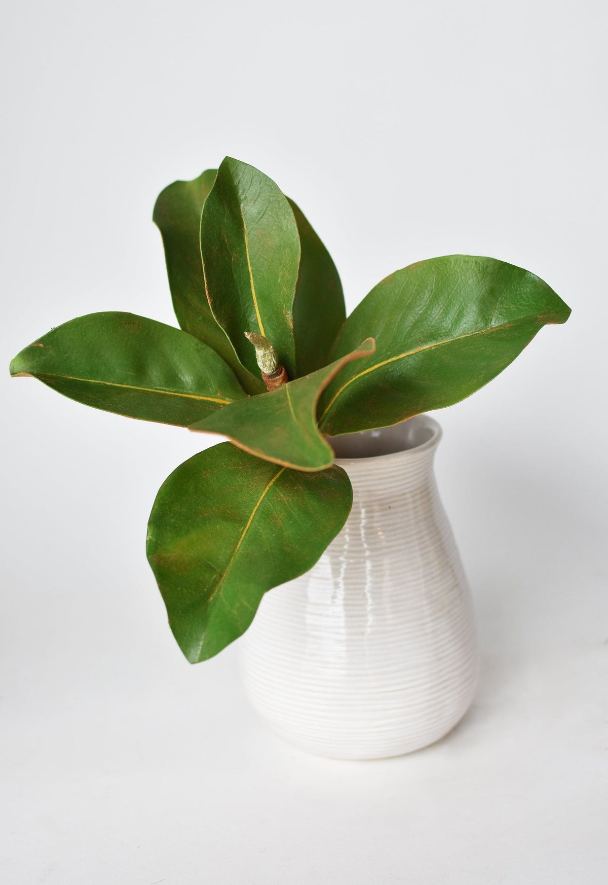 Faux Magnolia Leaf Stem, 14"