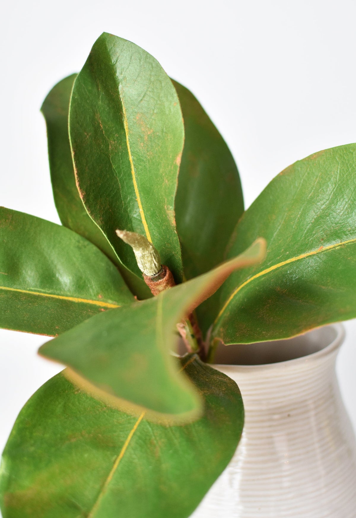 Faux Magnolia Leaf Stem, 14"
