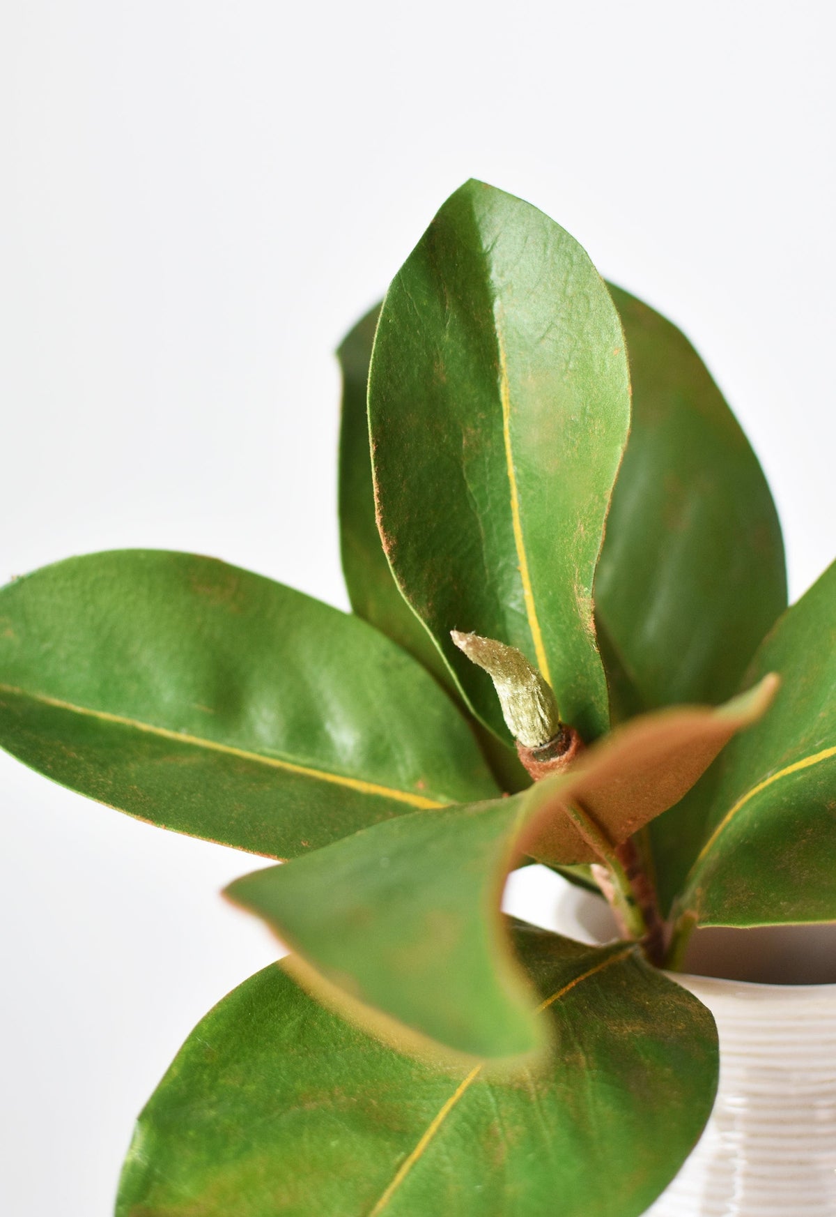 Faux Magnolia Leaf Stem, 14"