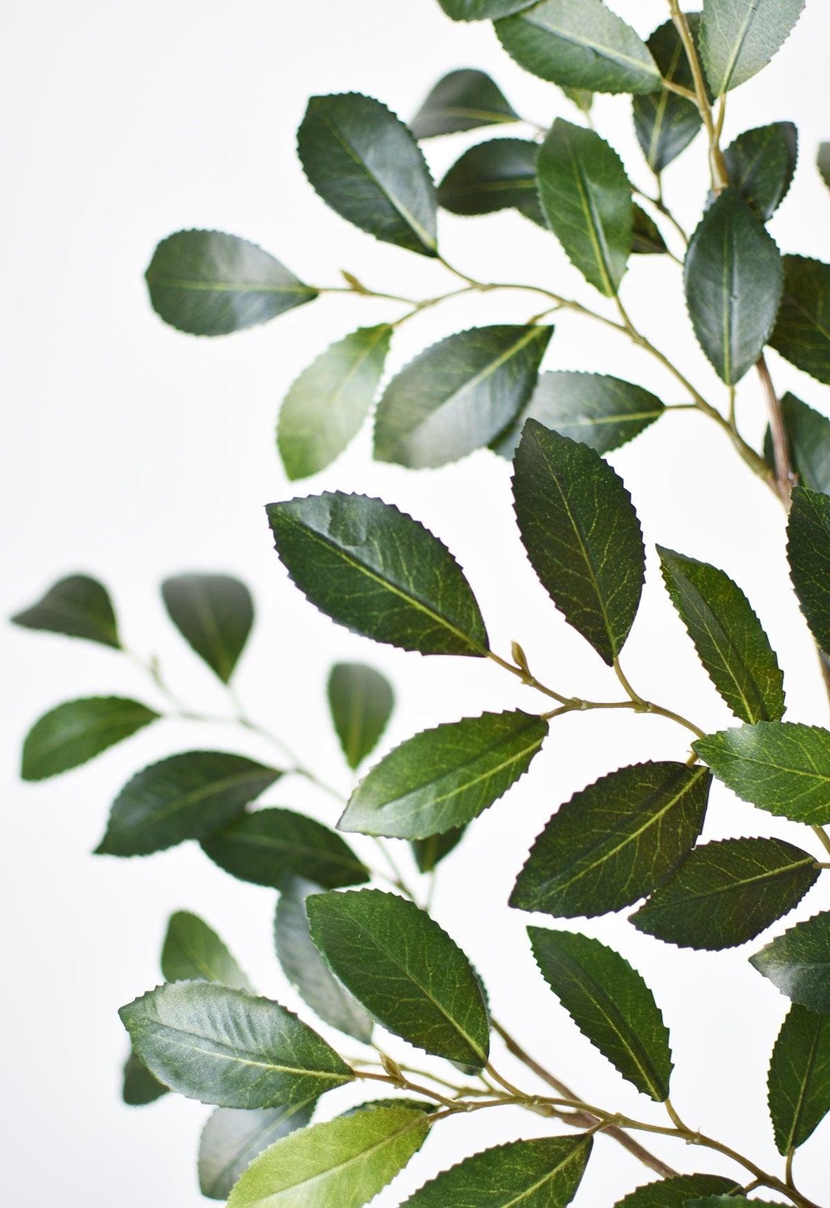 Faux Ruscus Leaf Stem, 26"