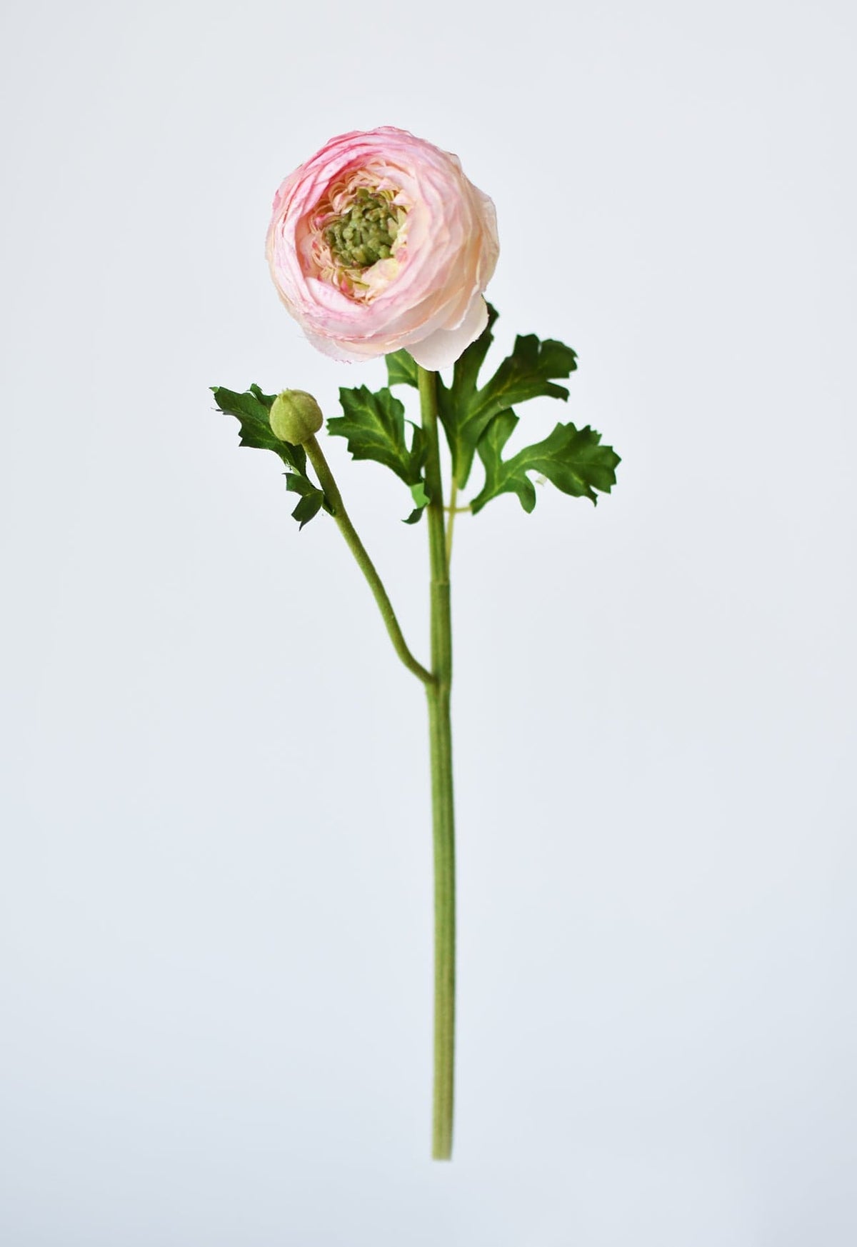 Faux Blush Ranunculus Stem, 13"