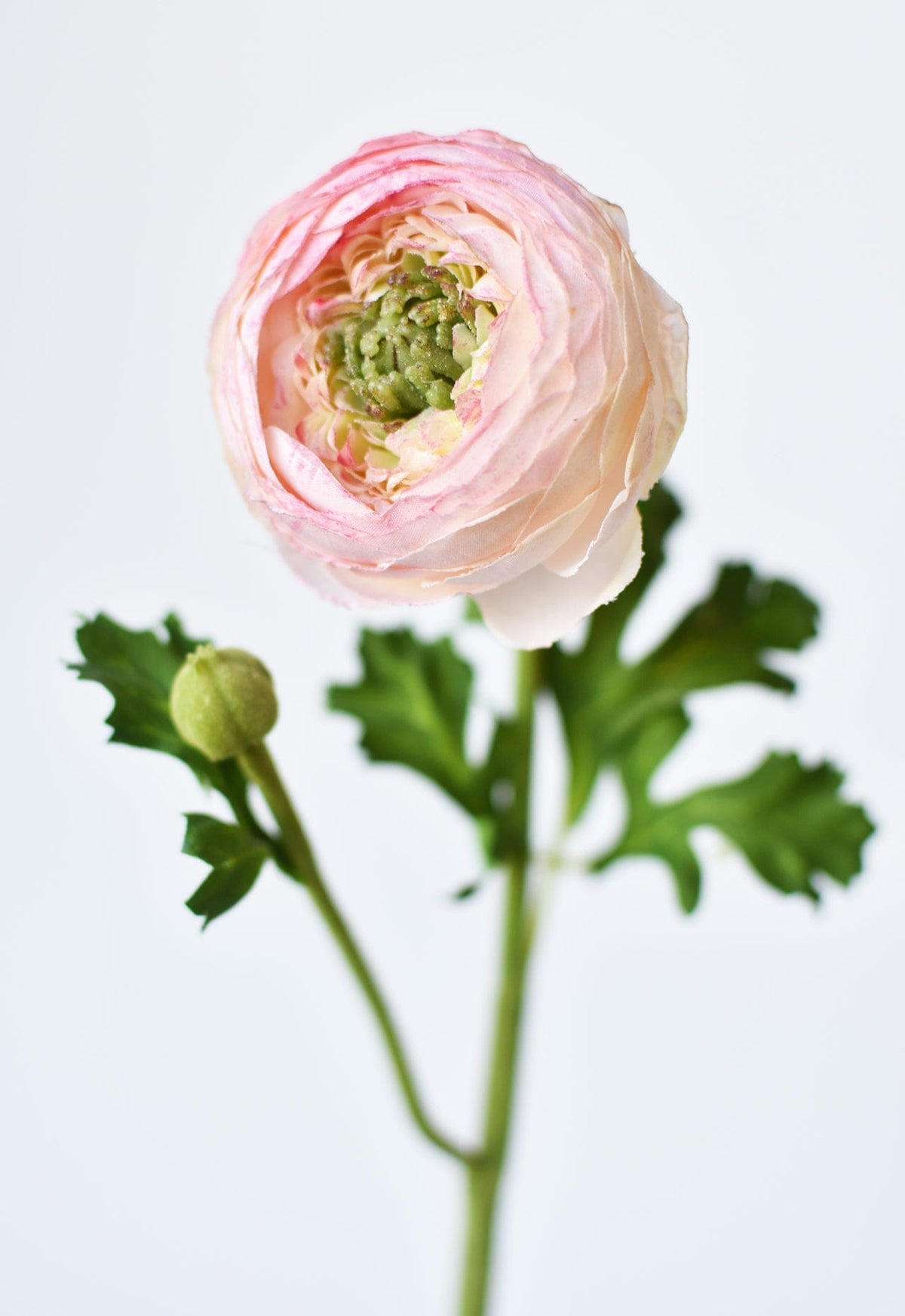 Faux Blush Ranunculus Stem, 13"