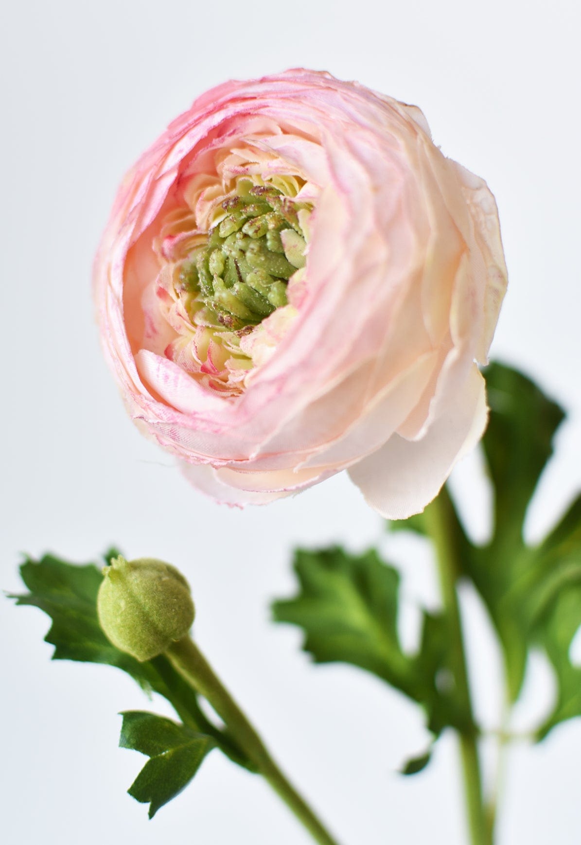 Faux Blush Ranunculus Stem, 13"