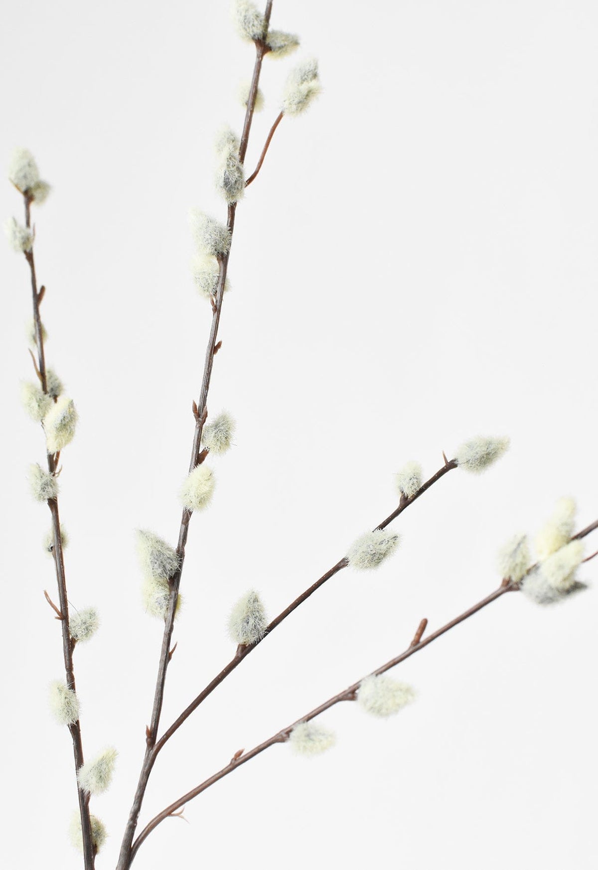 Faux Pussy Willow Stem, 31"