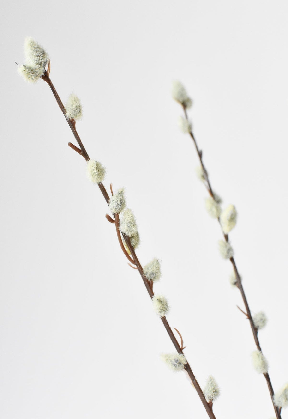 Faux Pussy Willow Stem, 31"