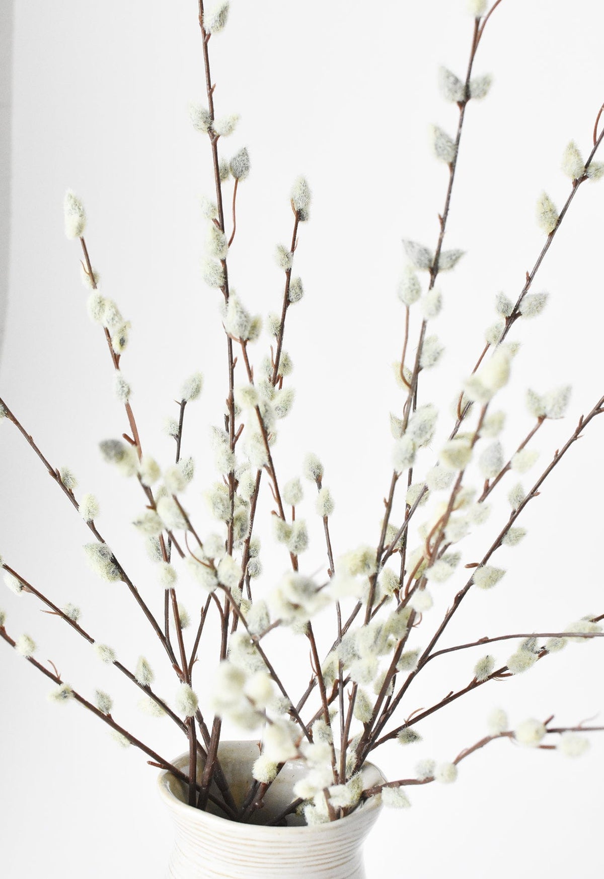 Faux Pussy Willow Stem, 31"
