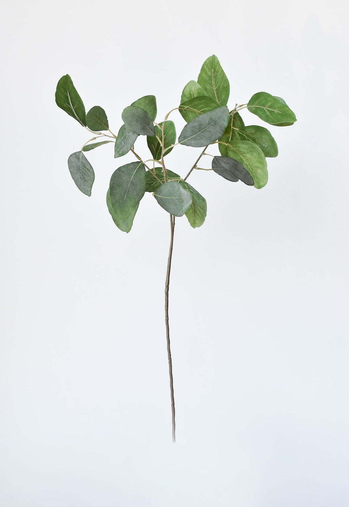 Faux Eucalyptus Leaf Stem, 24" Tall