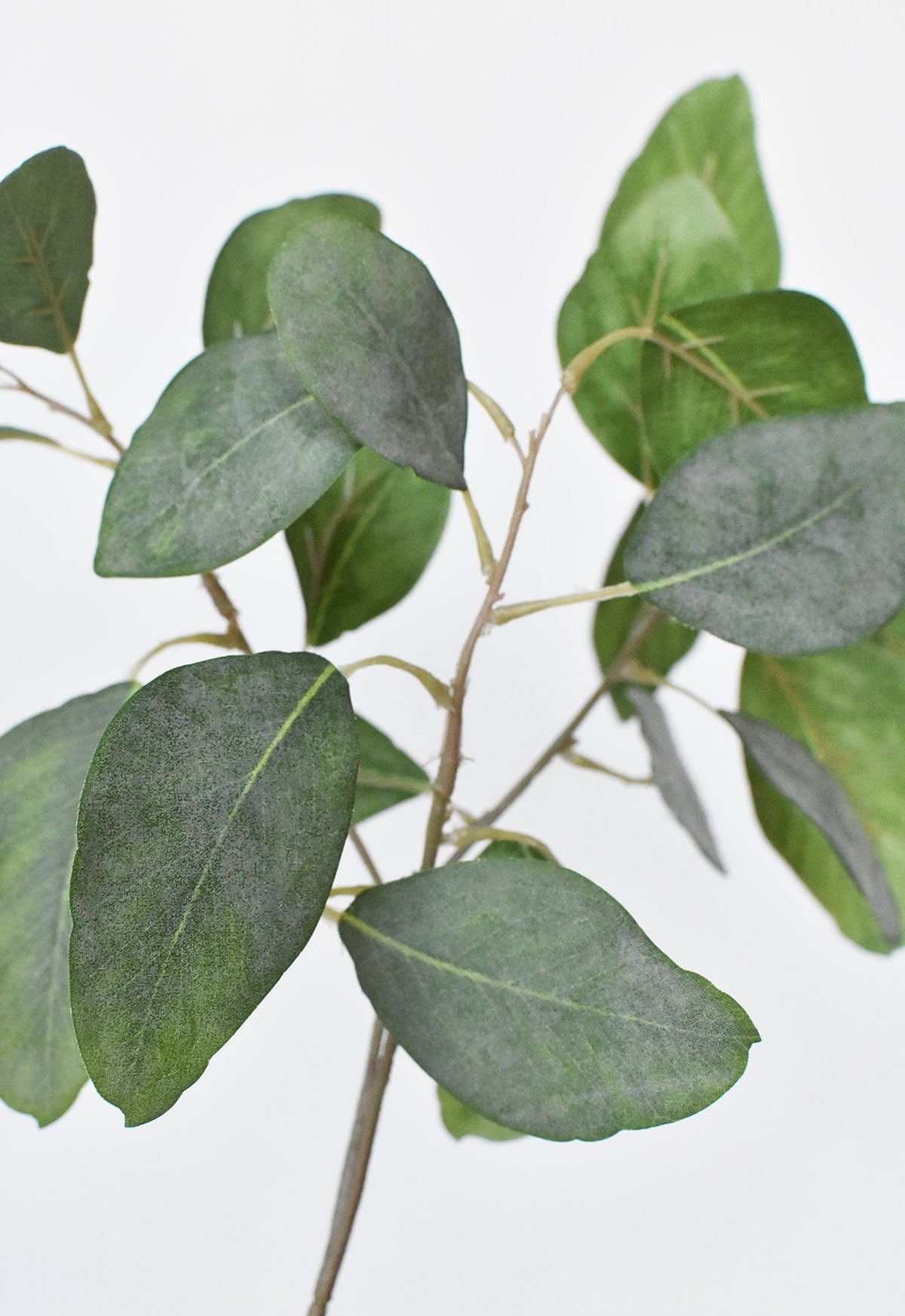 Faux Eucalyptus Leaf Stem, 24" Tall