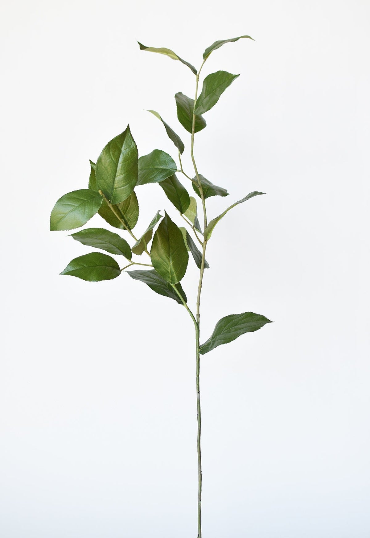 Faux Lemon Leaf Branch Stem, 36"