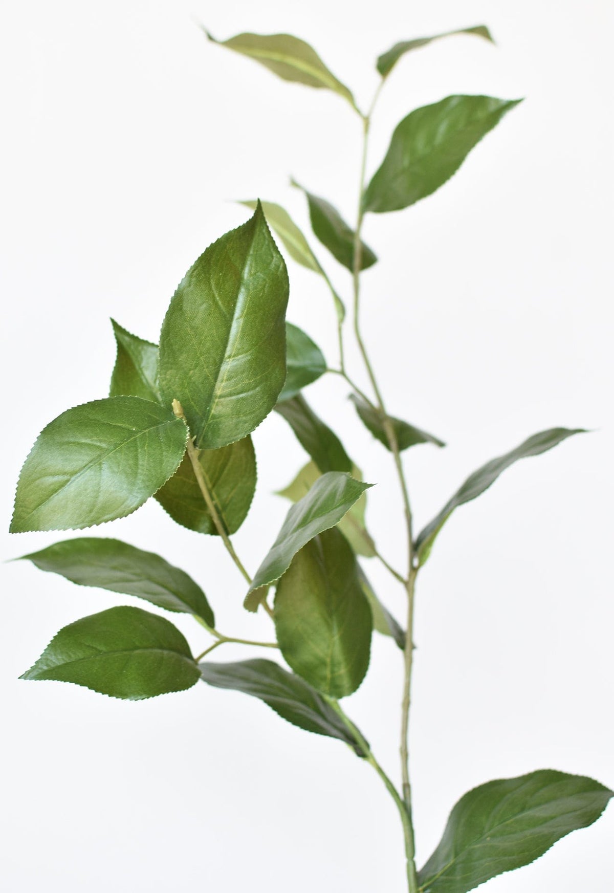 Faux Lemon Leaf Branch Stem, 36"