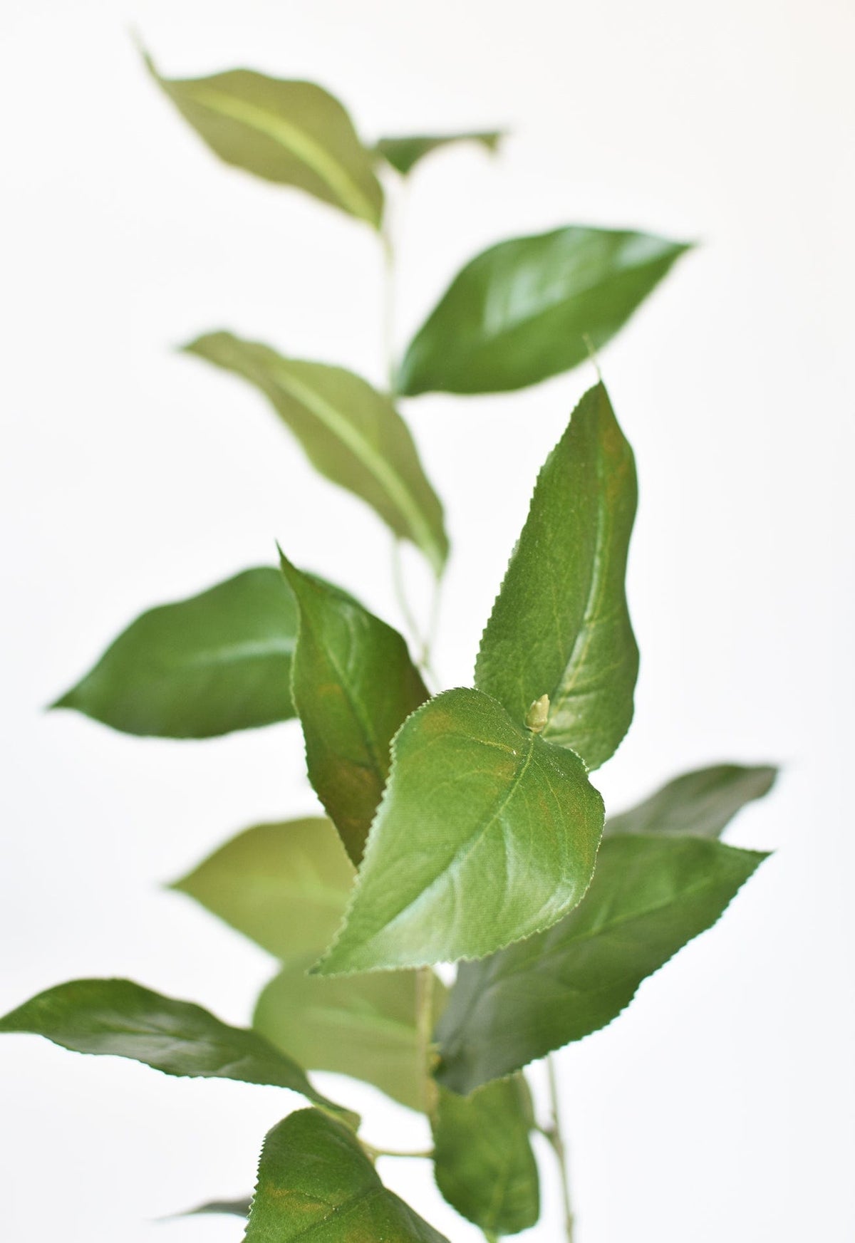 Faux Lemon Leaf Branch Stem, 36"