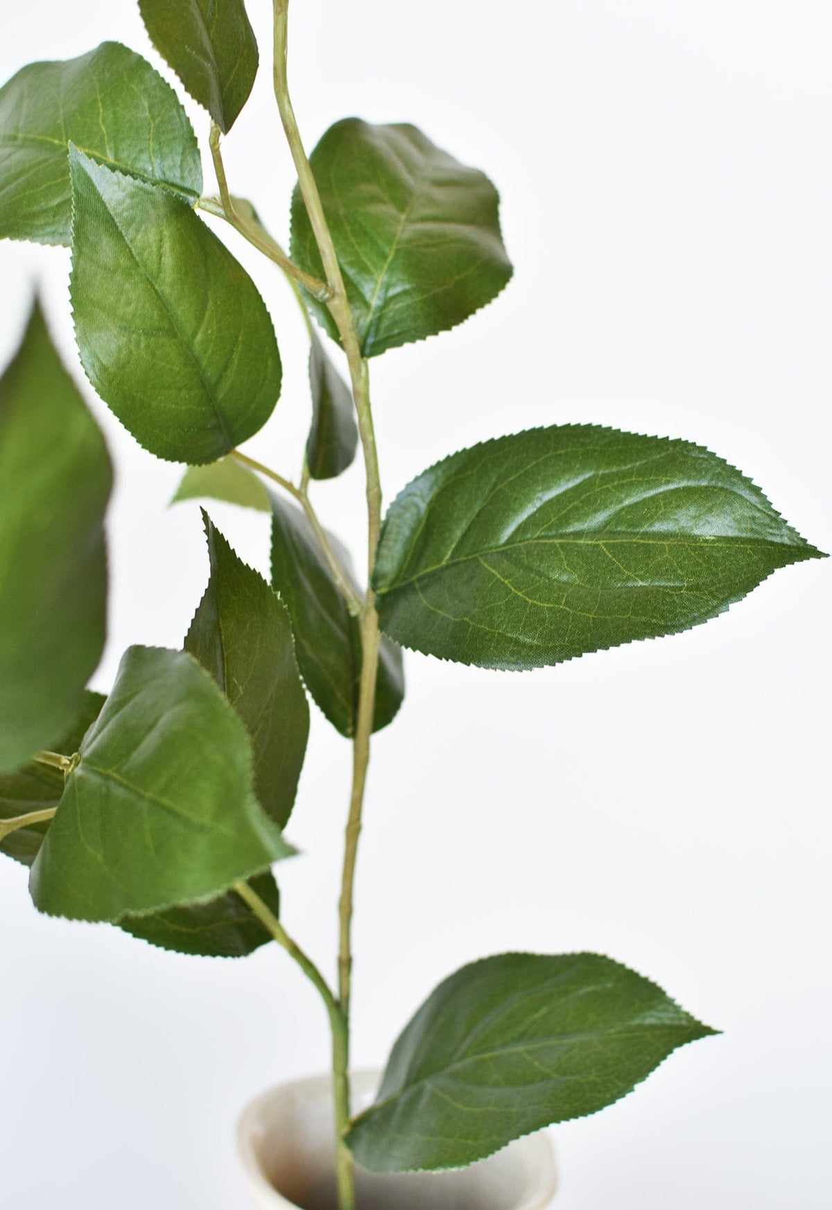 Faux Lemon Leaf Branch Stem, 36"