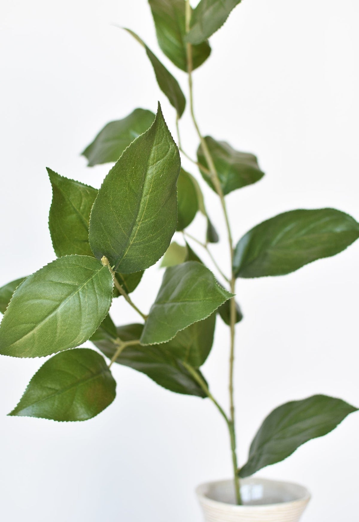 Faux Lemon Leaf Branch Stem, 36"