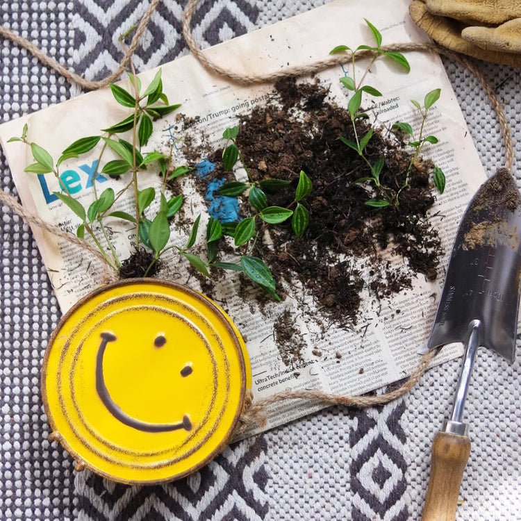 Smiley face planter with soil and small plants on newspaper, trowel nearby