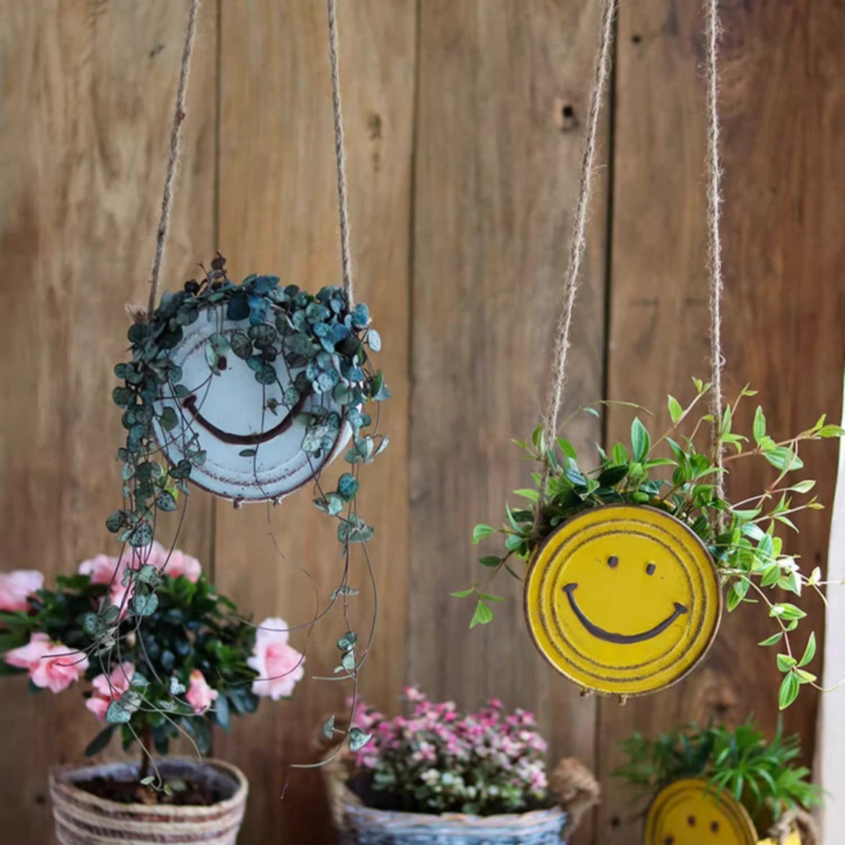 Hanging plants with smiley face designs against a wooden background