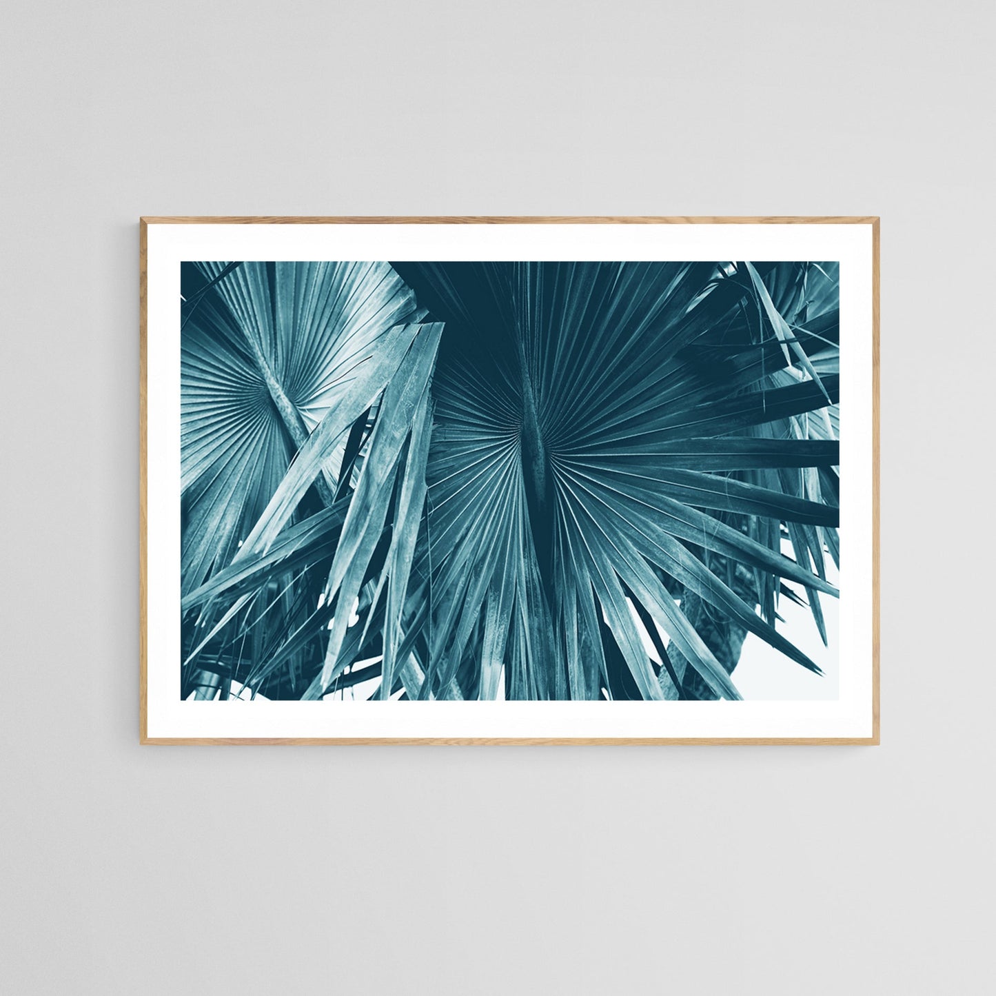 Cyan Bismarck #1 - Fine Art Photograph