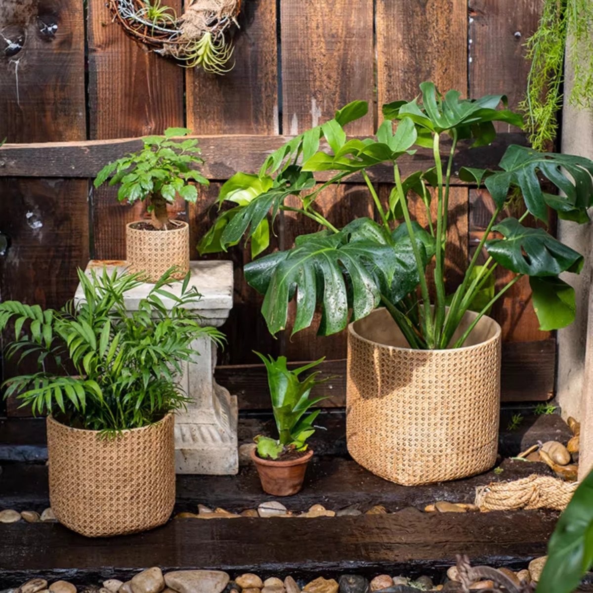Potted plants in woven baskets against a wooden wall.