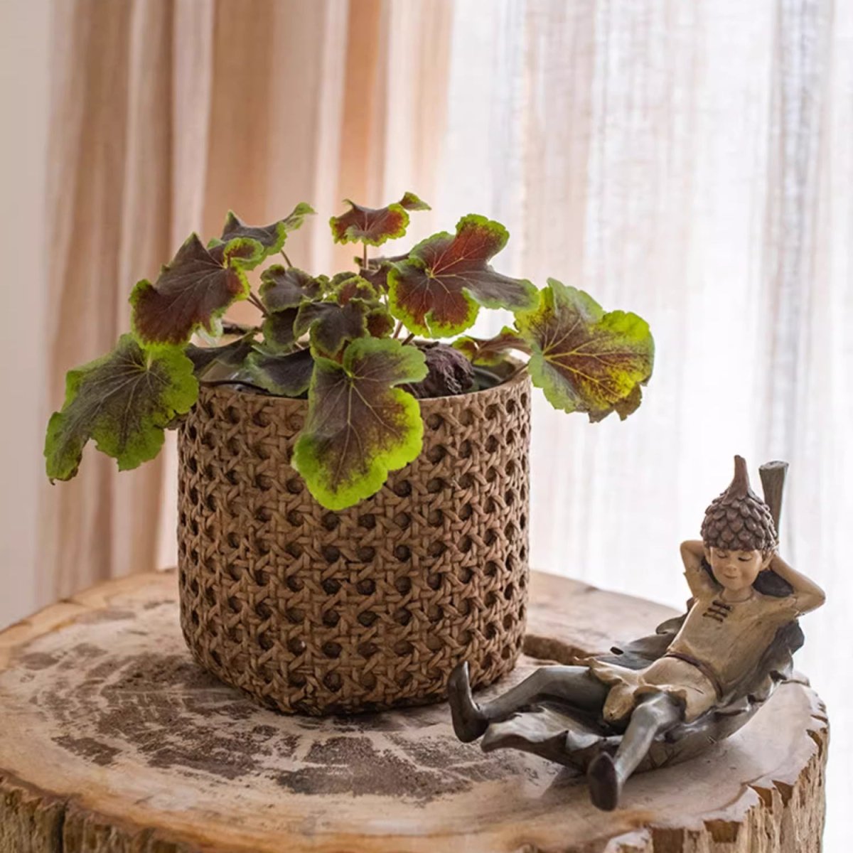 Potted plant on a wooden surface with a small figurine of a child and a bird.