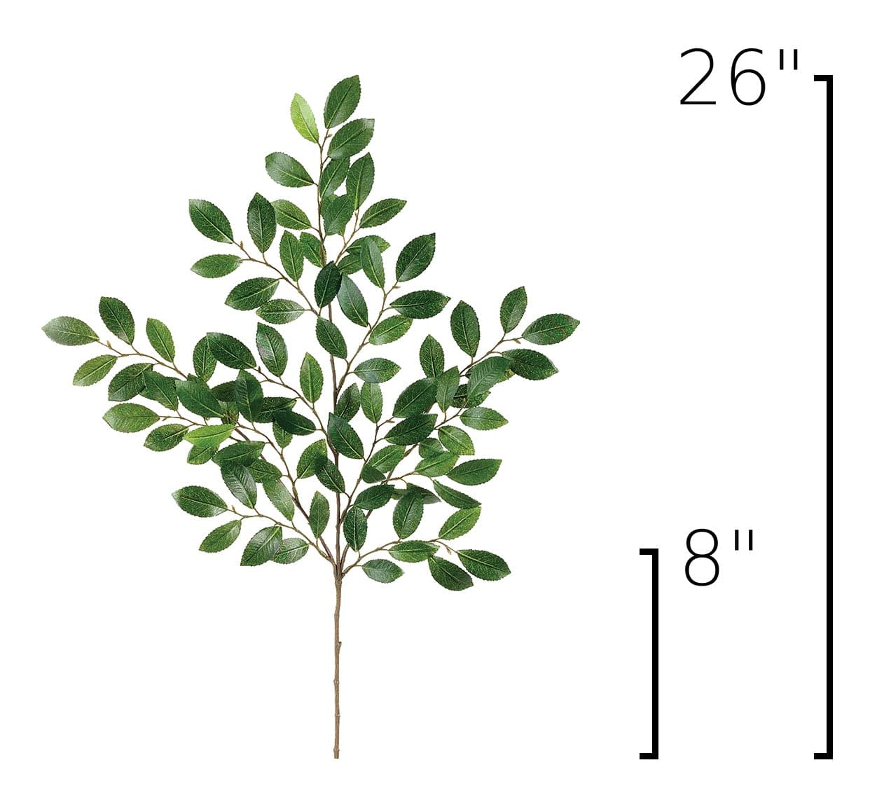 26" Faux Ruscus Leaf Stem
