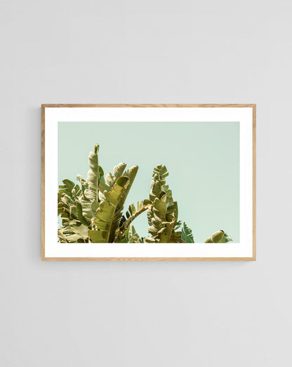 Modern Fine Art Photograph - California Green