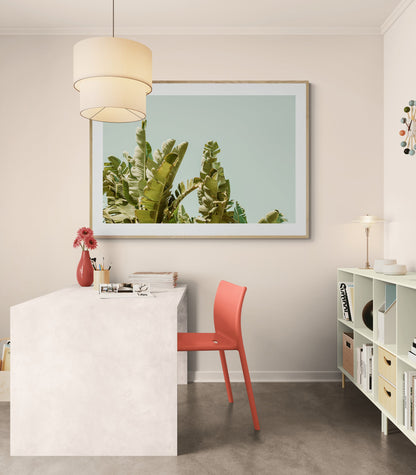 Modern Fine Art Photograph - California Green