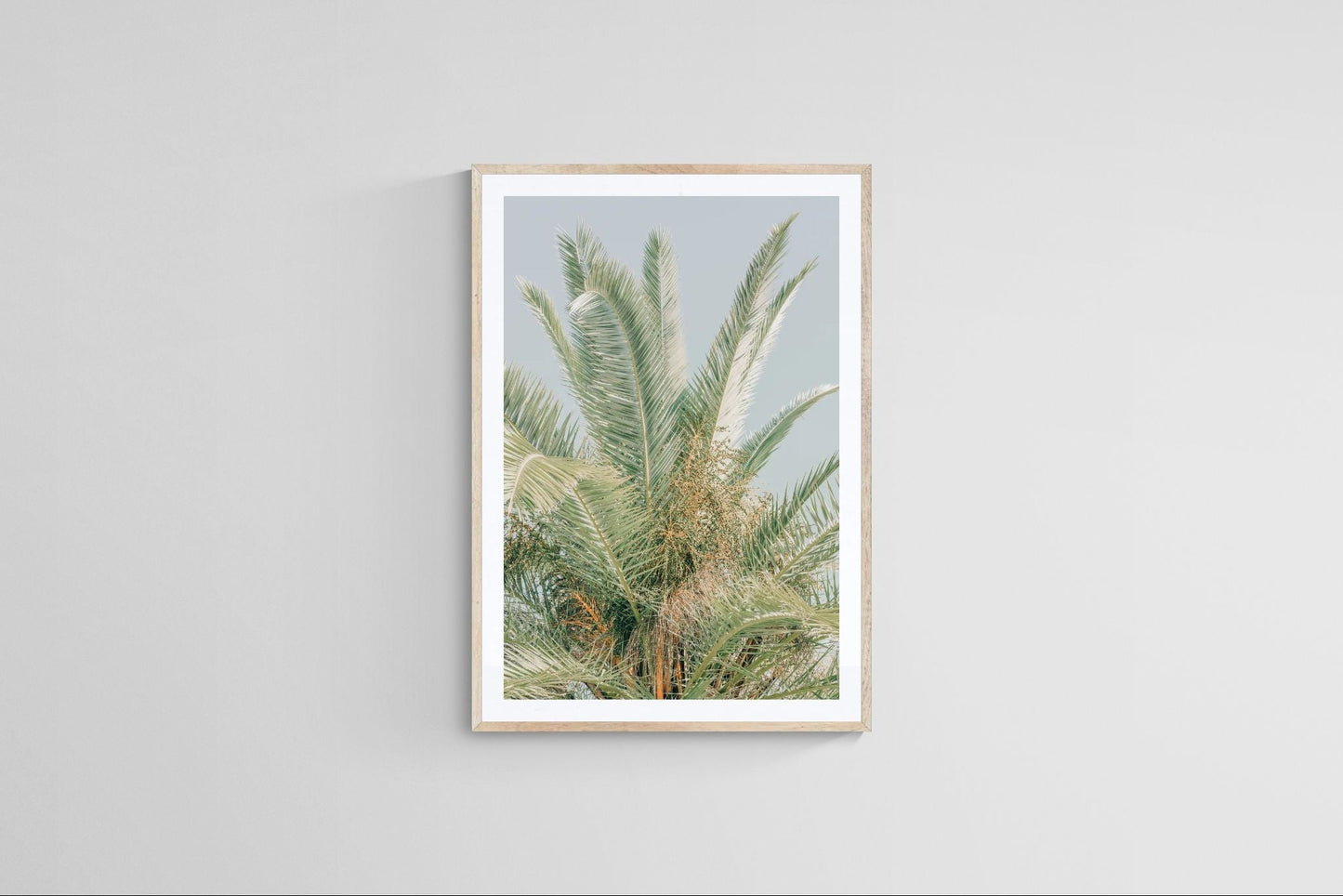 Modern Fine Art Photograph - Spring Mint #1