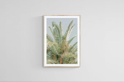 Modern Fine Art Photograph - Spring Mint #1