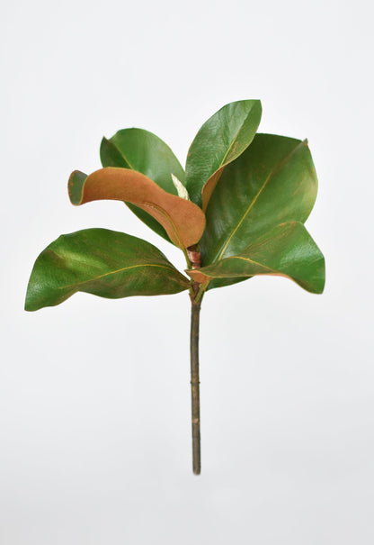 14" Faux Magnolia Leaf Stem