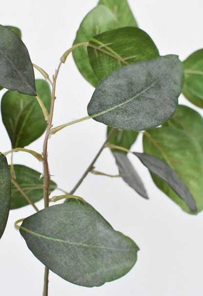 24" Faux Eucalyptus Leaf Stem