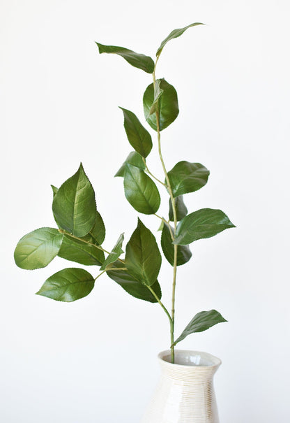 36" Faux Lemon Leaf Branch Stem