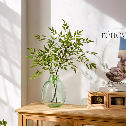 Clear glass vase with green plant on a wooden surface, sunlight casting shadows