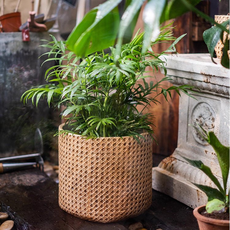 Potted plant in a woven basket on a stone surface with a garden background