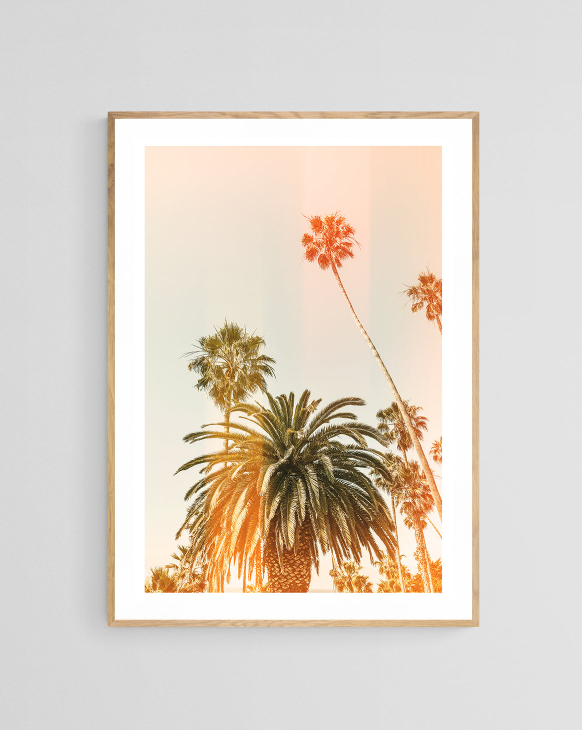 Modern Fine Art Photograph - California Palms #2