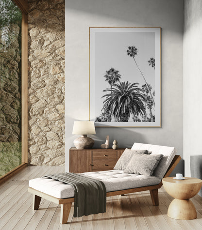Modern Fine Art Photograph - California Palms #2