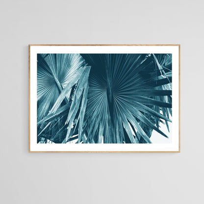 Cyan Bismarck #1 -  Fine Art Photograph