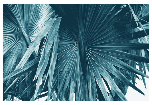 Cyan Bismarck #1 -  Fine Art Photograph