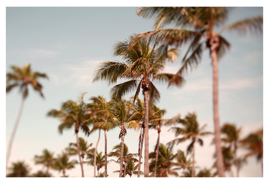 Eternal Sunshine - Fine Art Photograph