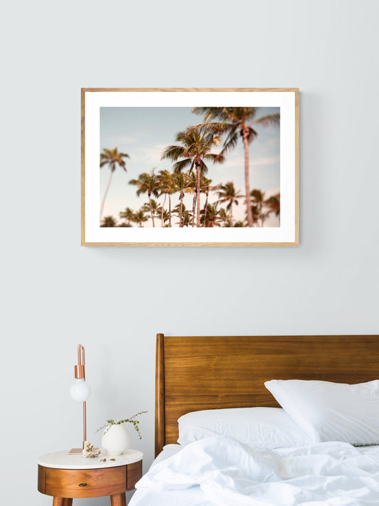 Eternal Sunshine - Fine Art Photograph