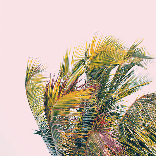 Modern Fine Art Photograph - Like A Hurricane