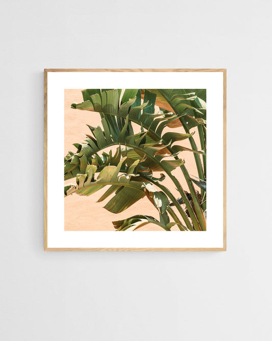 Modern Fine Art Photograph - Peach Sunrise #2