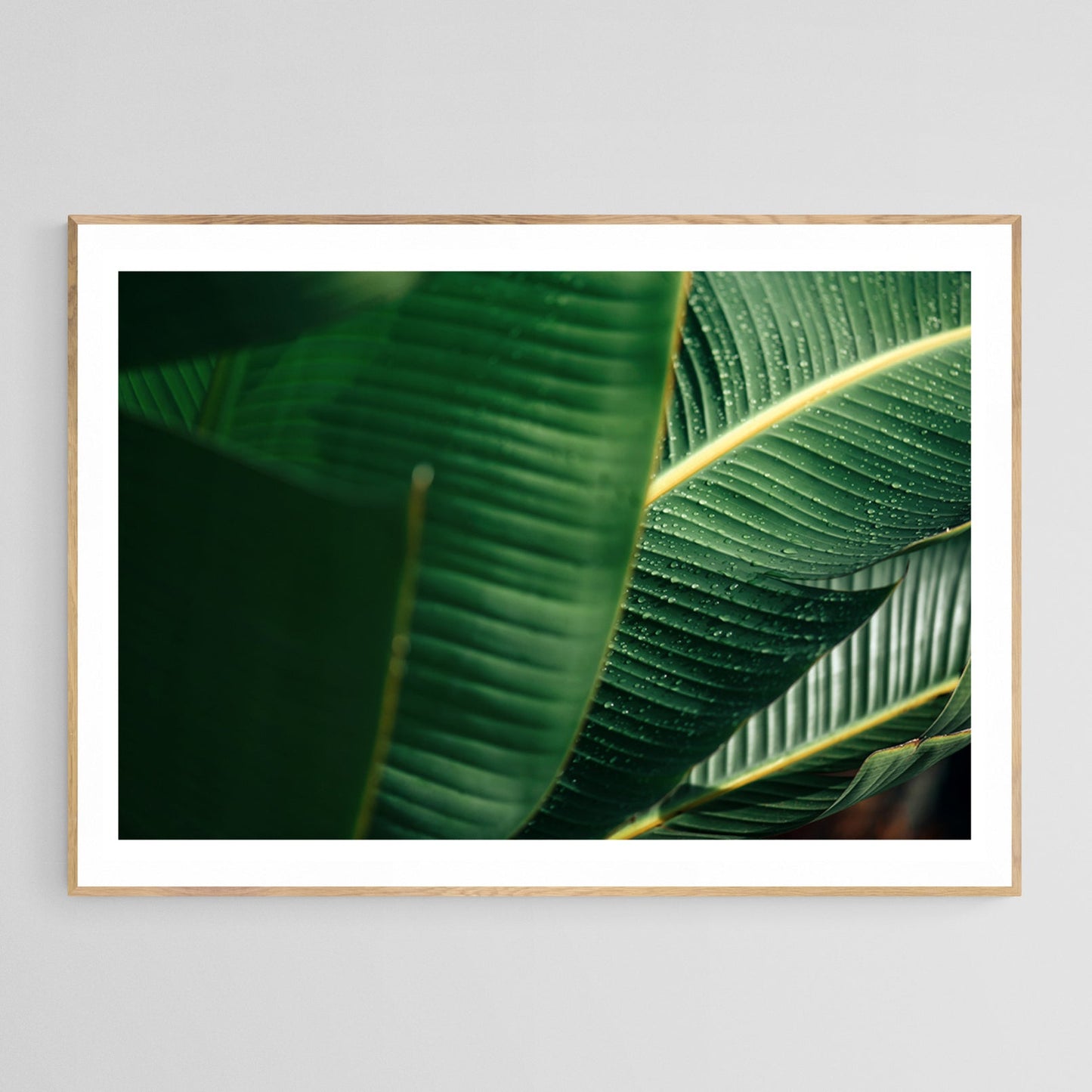 Modern Fine Art Photograph - Sun Drops