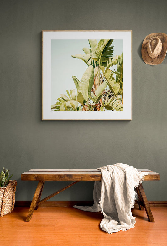 Modern Fine Art Photograph - To The Sun