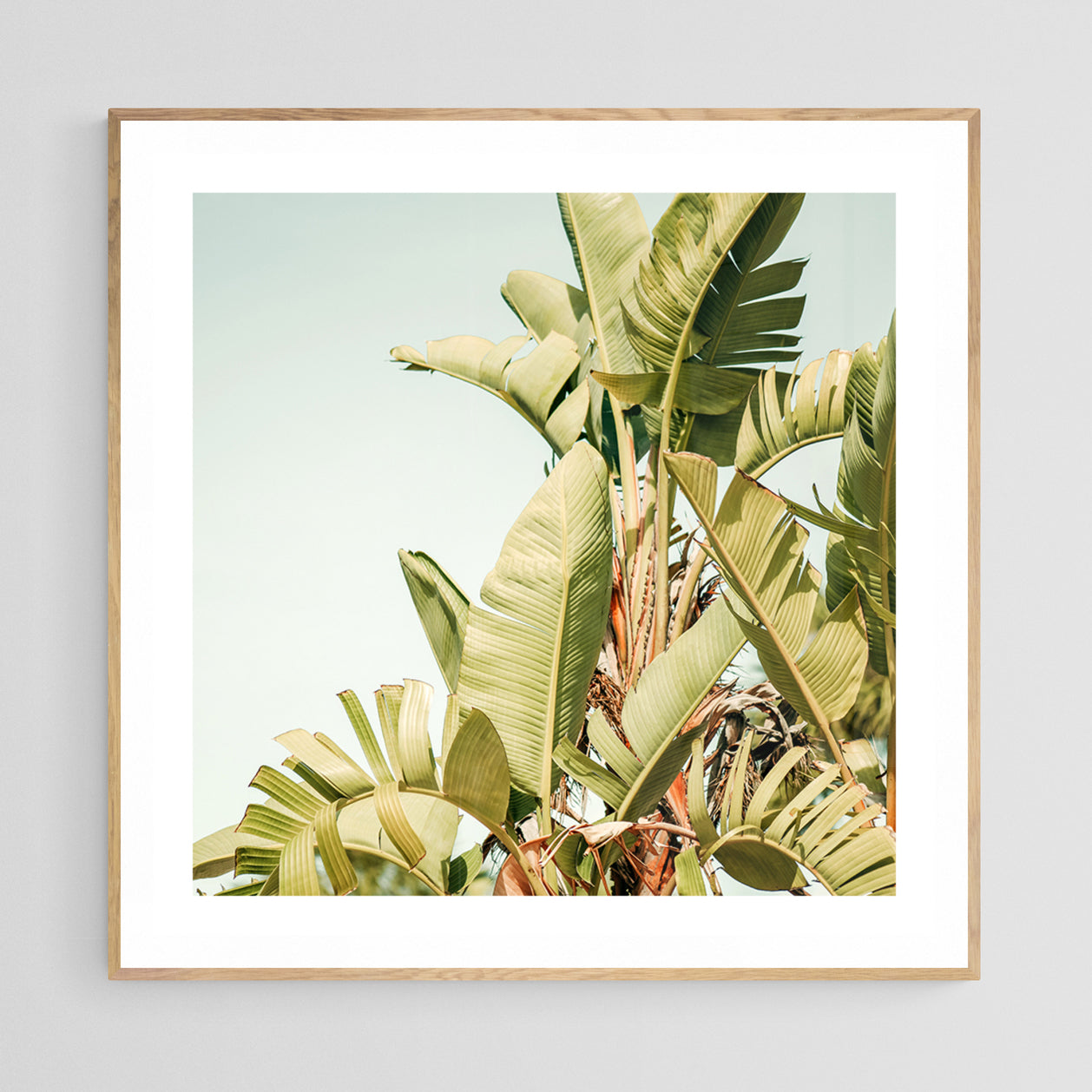 Modern Fine Art Photograph - To The Sun